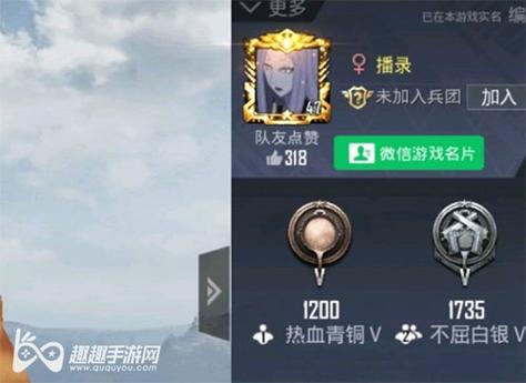和平精英ios《HS》辅助上分如喝水